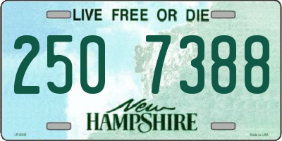 NH license plate 2507388