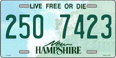 NH license plate 2507423