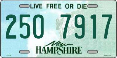 NH license plate 2507917