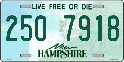 NH license plate 2507918