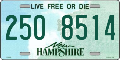 NH license plate 2508514
