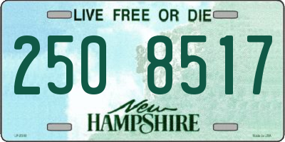 NH license plate 2508517