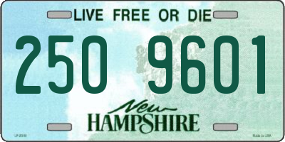 NH license plate 2509601