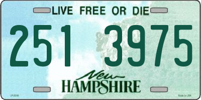 NH license plate 2513975