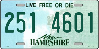 NH license plate 2514601
