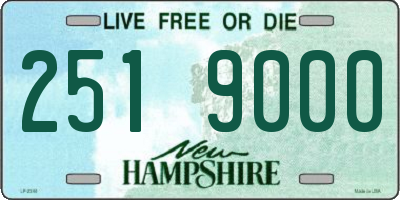 NH license plate 2519000
