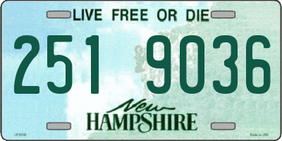 NH license plate 2519036