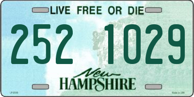 NH license plate 2521029