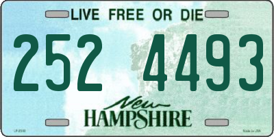 NH license plate 2524493