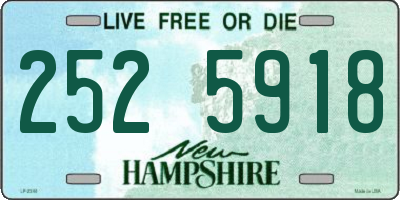 NH license plate 2525918