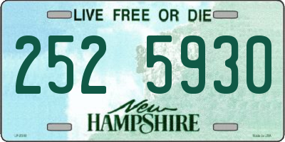 NH license plate 2525930