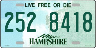 NH license plate 2528418