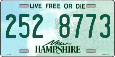 NH license plate 2528773