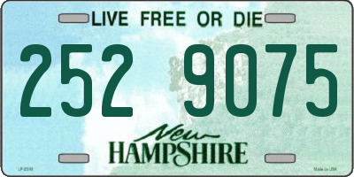 NH license plate 2529075
