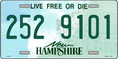 NH license plate 2529101