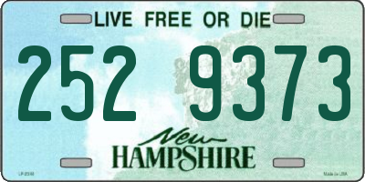 NH license plate 2529373