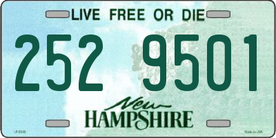NH license plate 2529501