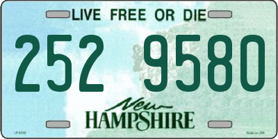 NH license plate 2529580