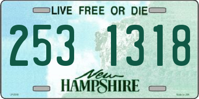 NH license plate 2531318
