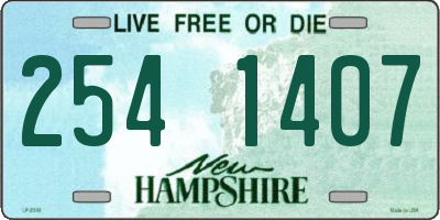 NH license plate 2541407