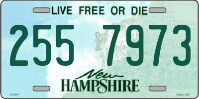 NH license plate 2557973