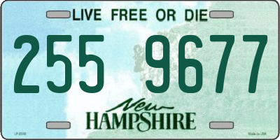 NH license plate 2559677