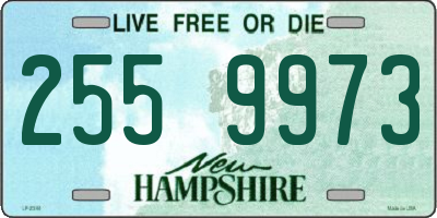 NH license plate 2559973