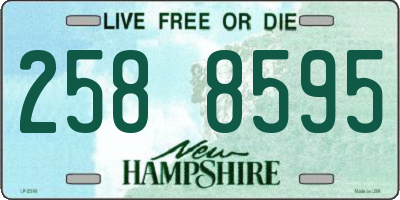 NH license plate 2588595