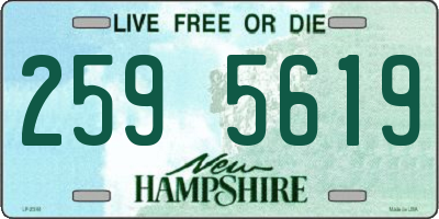 NH license plate 2595619