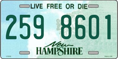 NH license plate 2598601