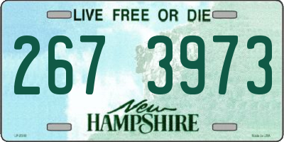 NH license plate 2673973