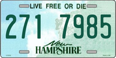 NH license plate 2717985