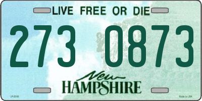NH license plate 2730873