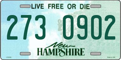 NH license plate 2730902