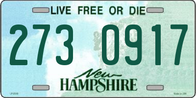 NH license plate 2730917