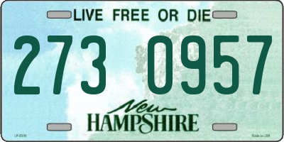 NH license plate 2730957