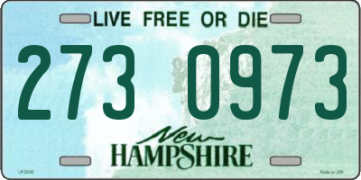 NH license plate 2730973