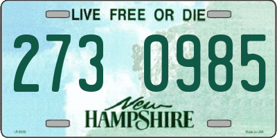 NH license plate 2730985