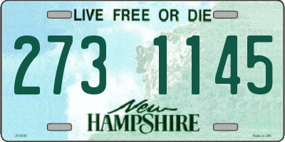 NH license plate 2731145
