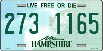 NH license plate 2731165