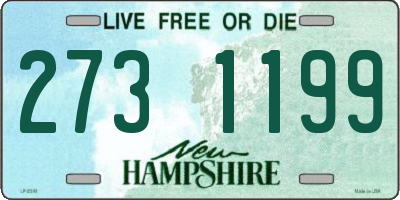 NH license plate 2731199