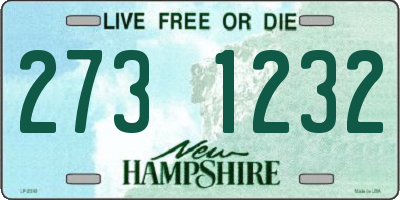 NH license plate 2731232