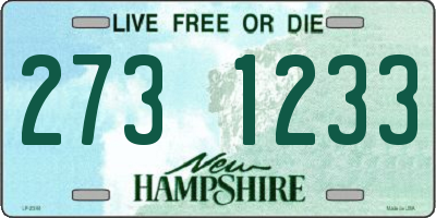 NH license plate 2731233