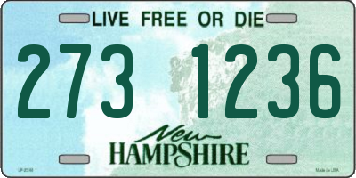 NH license plate 2731236