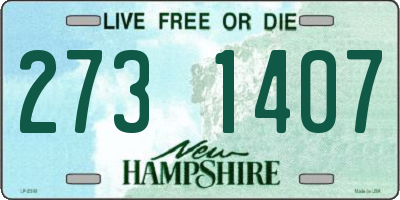 NH license plate 2731407