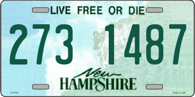 NH license plate 2731487