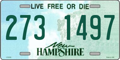 NH license plate 2731497