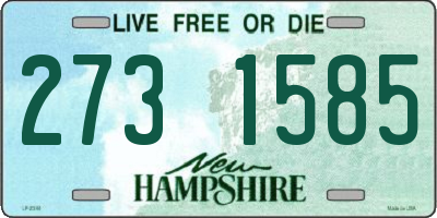 NH license plate 2731585
