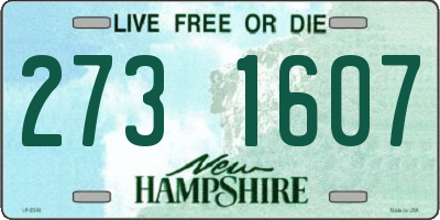 NH license plate 2731607