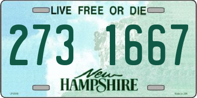 NH license plate 2731667